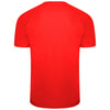 Puma Team Liga Stiped Jersey - Red/Black