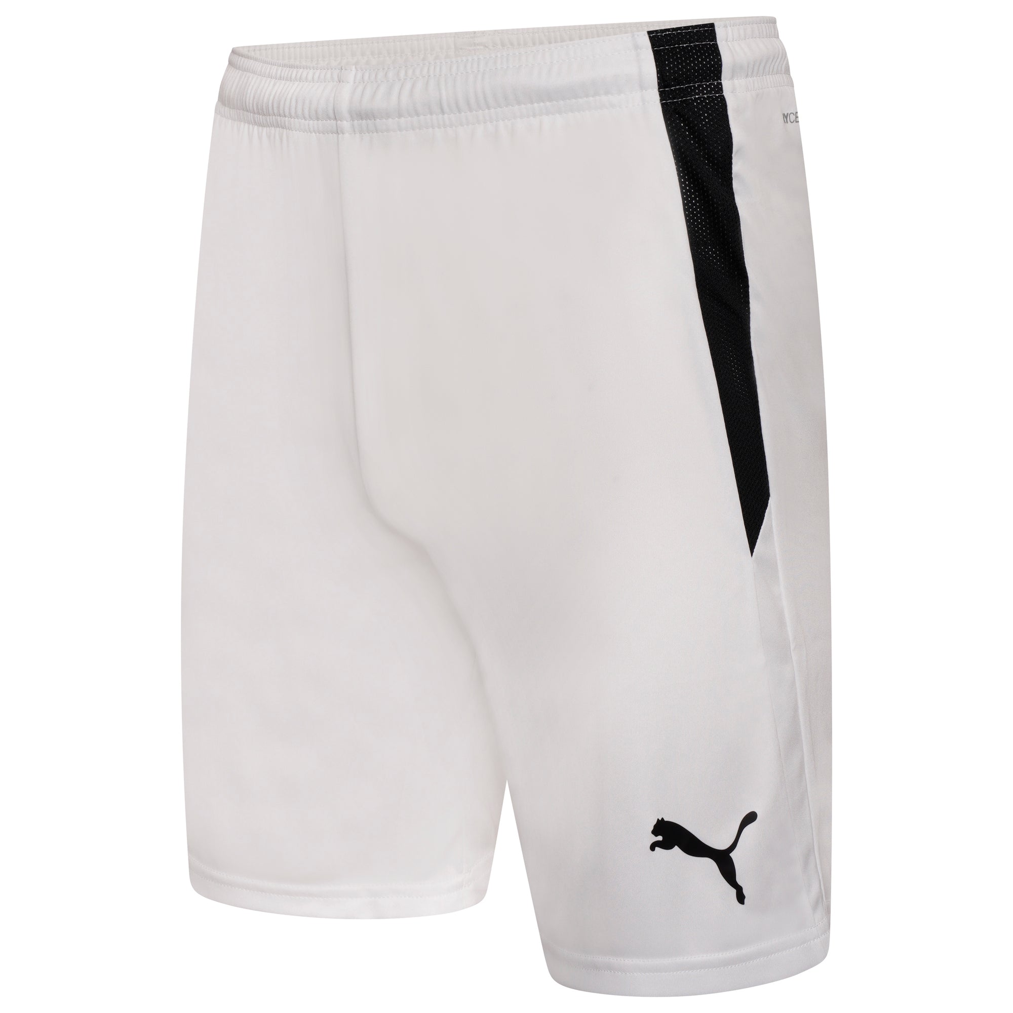 Puma TeamLIGA Shorts - White/Black