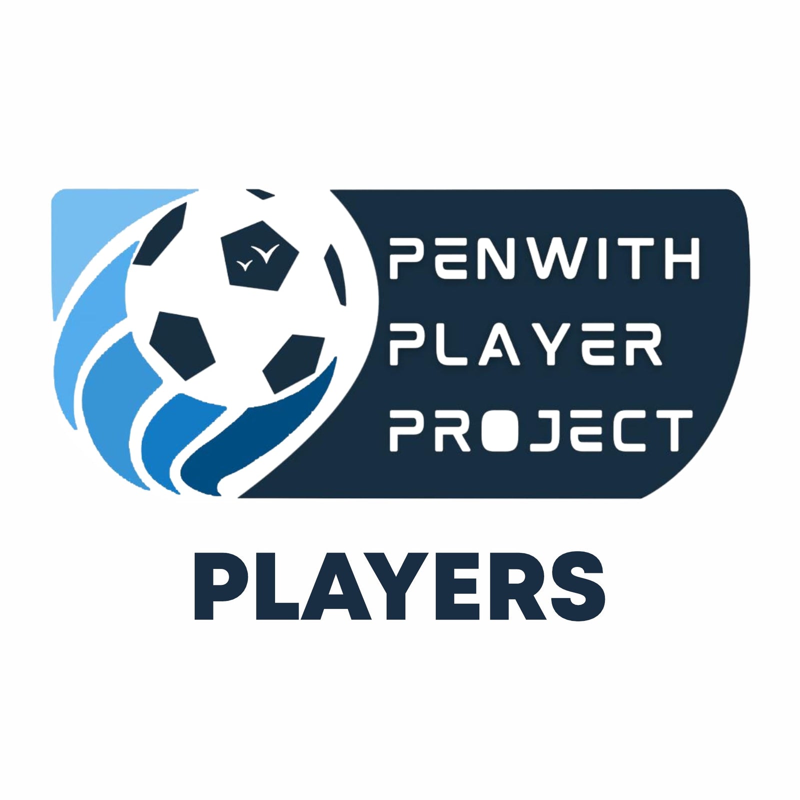 Penwith Player Project - Players