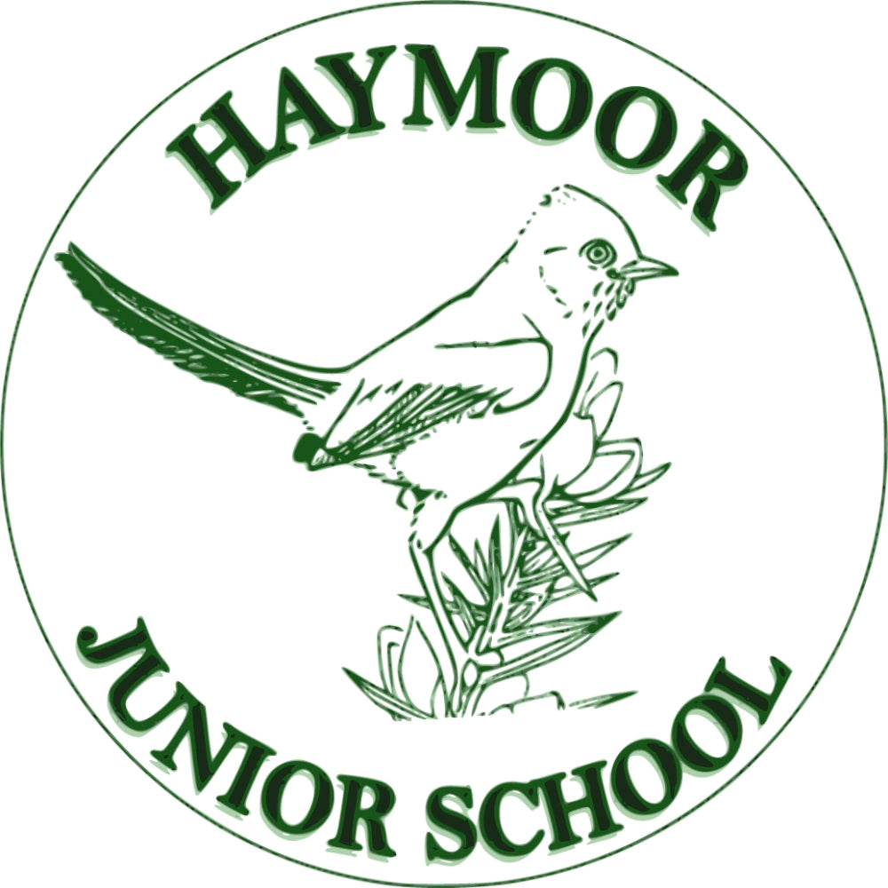 Haymoor Junior School