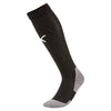 Jason Wood Coaching - Puma Liga Core Sock - Black