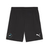 Jason Wood Coaching - Puma TeamRise Shorts - Black