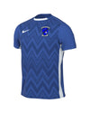 Merley Cobham Home - Nike Challenger V Jersey