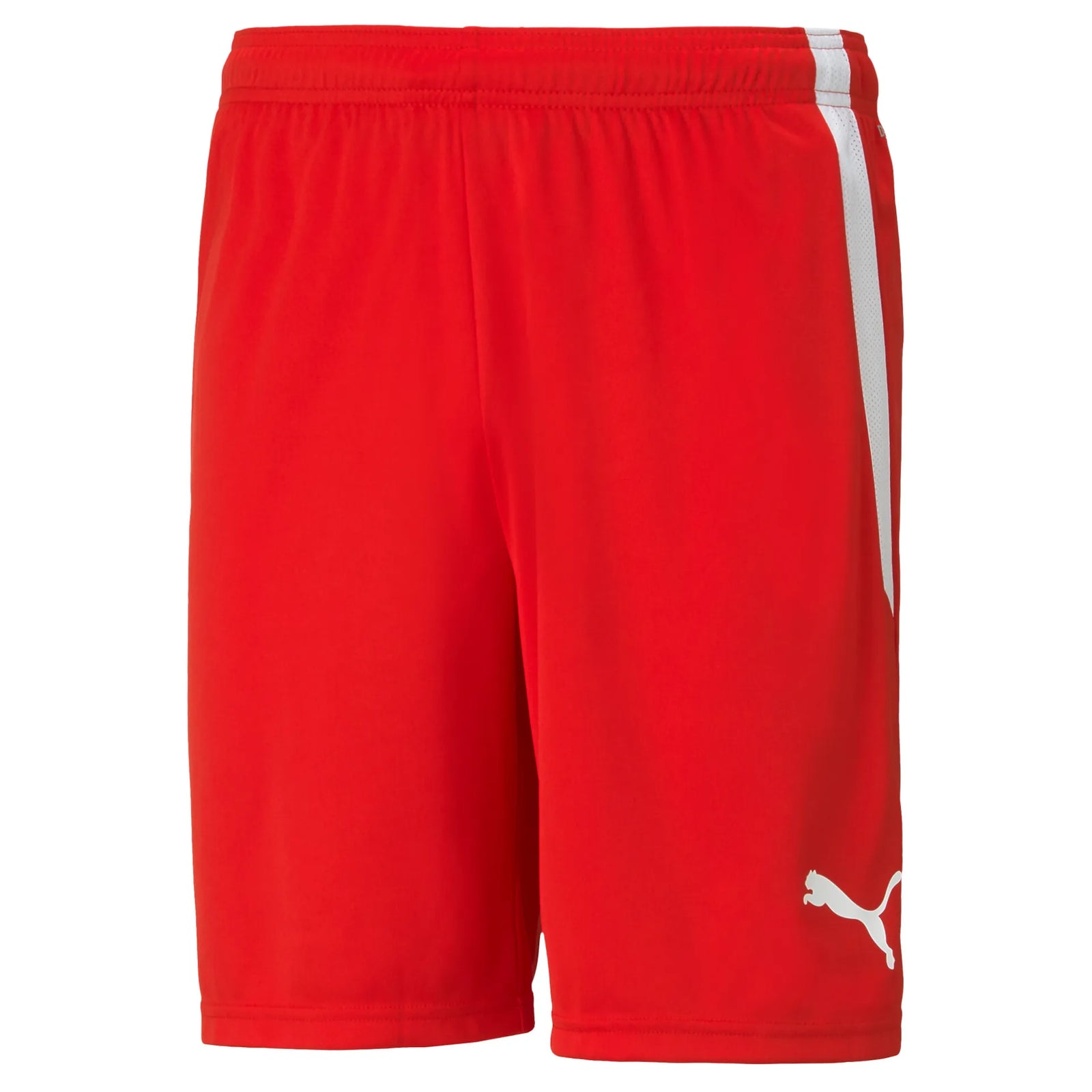 Puma TeamLiga Shorts - Junior