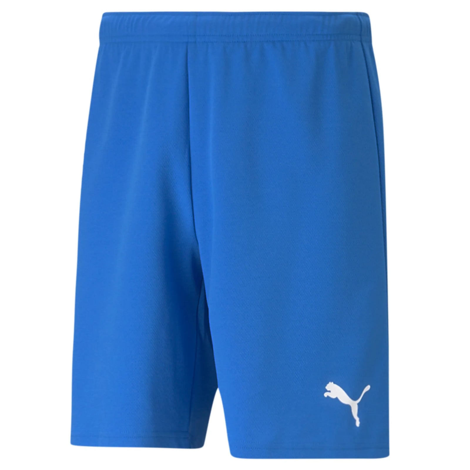 Puma TeamRise Shorts - Junior