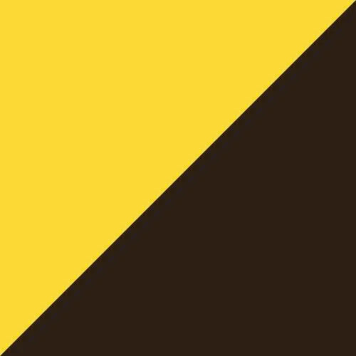 Puma Team Classic Match Jersey - Adult