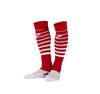 Joma Premier II Sock Leg - Red/White