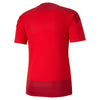 Puma Goal Training Jersey - Red/Chilli Pepper