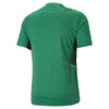 Puma Team Cup Graphic Jersey - Amazon Green