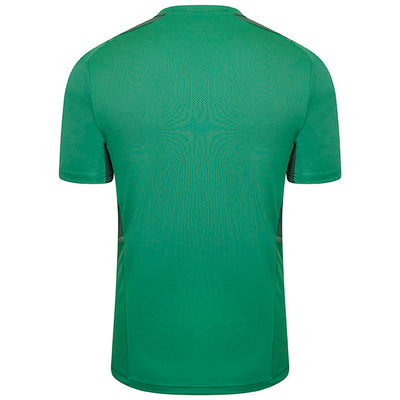 Puma Team Cup Graphic Jersey - Amazon Green