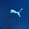 Puma Team Cup Graphic Jersey - Ignite Blue