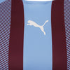 Puma Team Liga Stiped Jersey - Team Light Blue/Cordovan