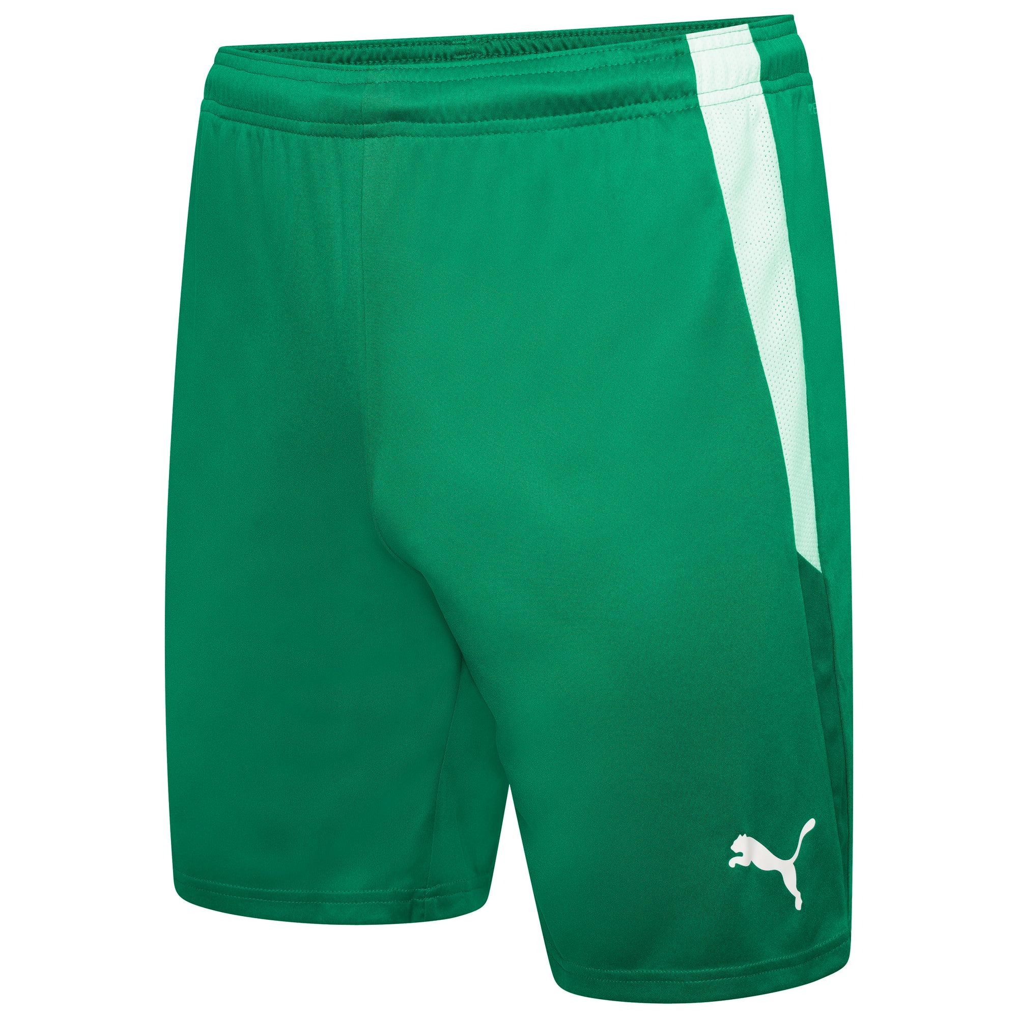 Puma TeamLIGA Shorts - Pepper Green/White