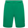 Puma TeamLIGA Shorts - Pepper Green/White