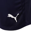 Puma TeamLIGA Shorts - Peacoat/White