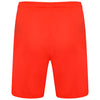 Puma TeamLIGA Shorts - Nrgy Red/Black
