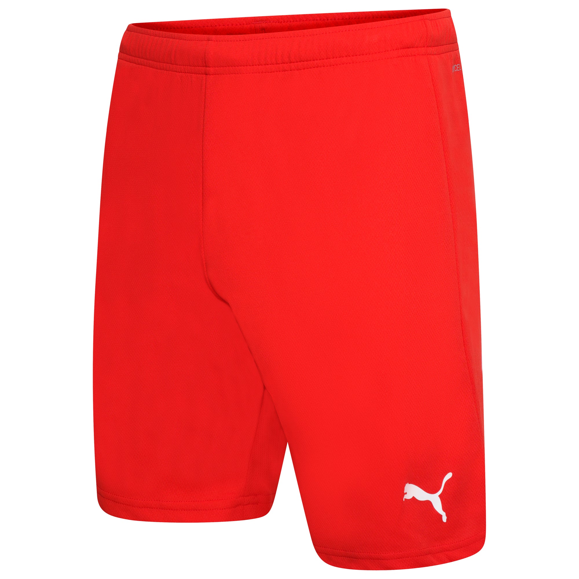 Puma TeamRise Shorts - Red